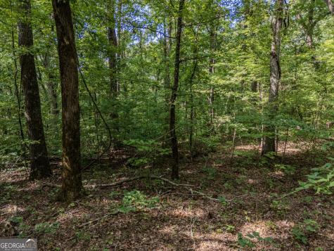 0 Clearview Drive Talking Rock GA 30175