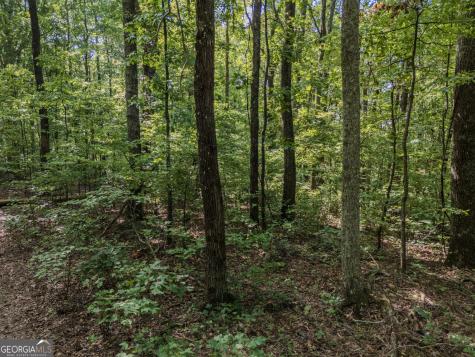 0 Clearview Drive Talking Rock GA 30175