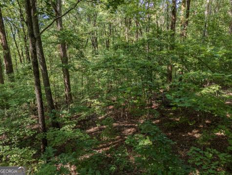 0 Clearview Drive Talking Rock GA 30175