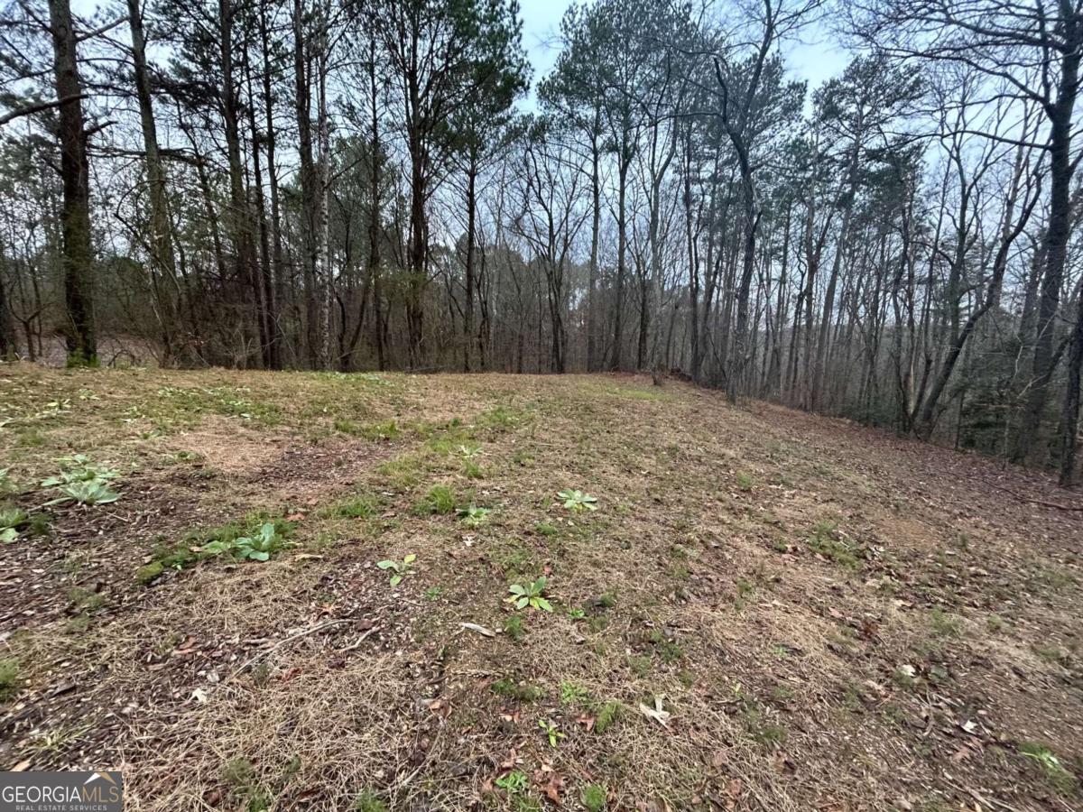 1089 Damascus Drive Ball Ground GA 30107