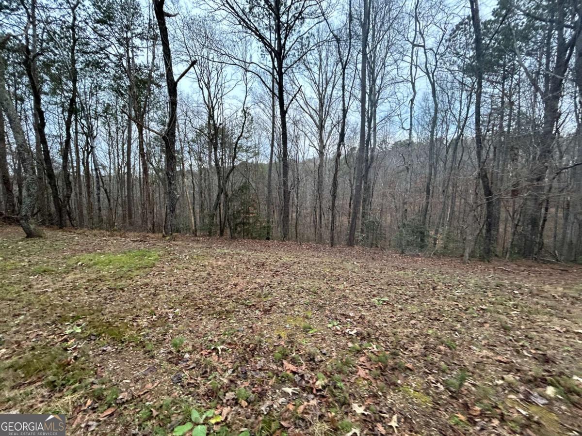 1089 Damascus Drive Ball Ground GA 30107