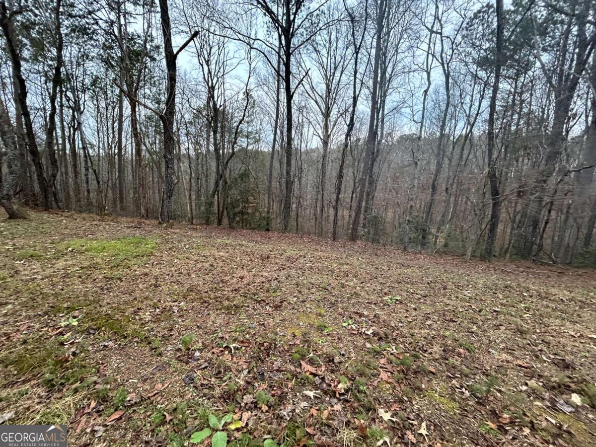 1089 Damascus Drive Ball Ground GA 30107