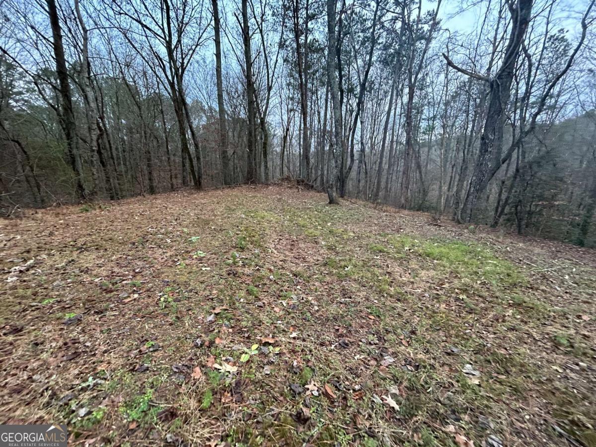 1089 Damascus Drive Ball Ground GA 30107