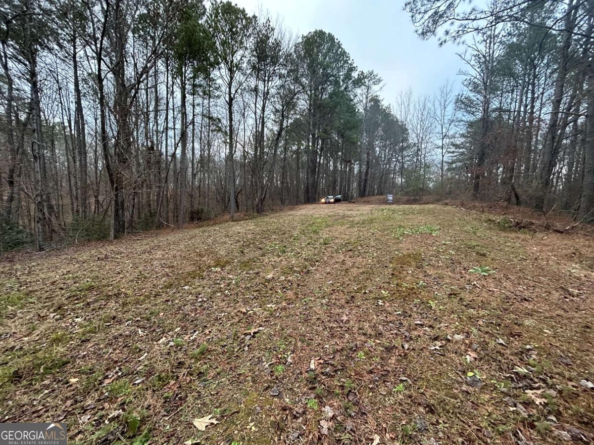 1089 Damascus Drive Ball Ground GA 30107