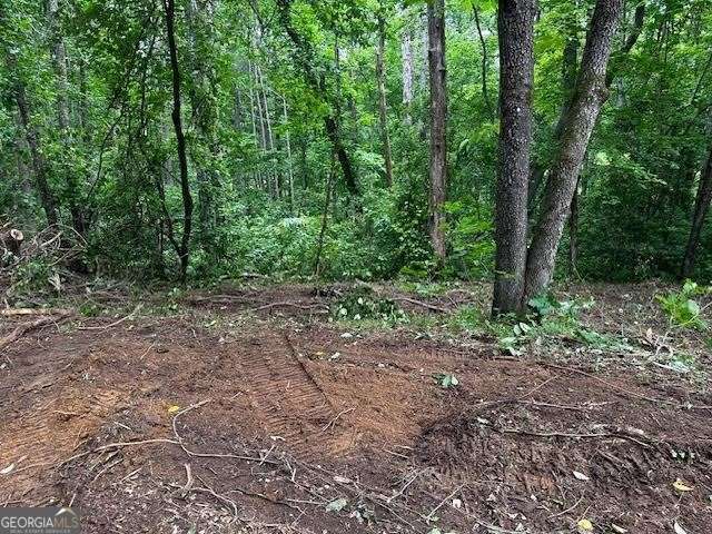 1089 Damascus Drive Ball Ground GA 30107