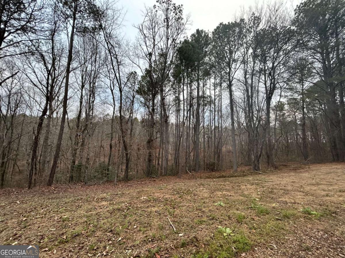 1089 Damascus Drive Ball Ground GA 30107