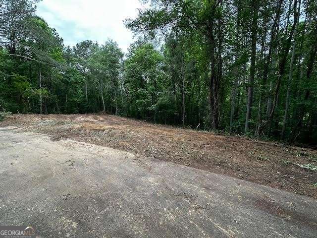 1089 Damascus Drive Ball Ground GA 30107