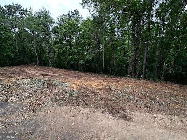 1089 Damascus Drive Ball Ground GA 30107