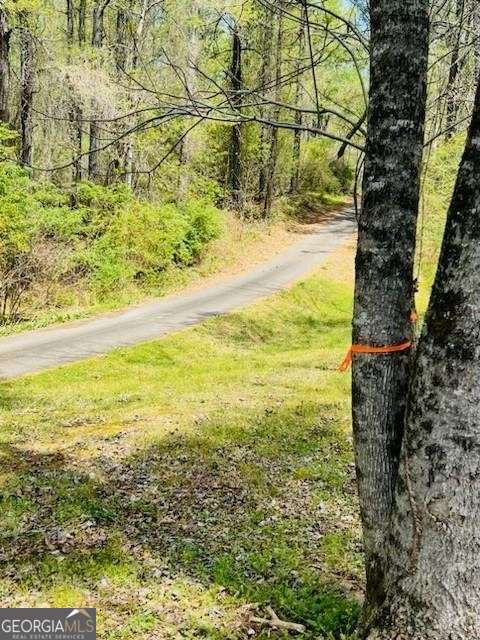 1089 Damascus Drive Ball Ground GA 30107