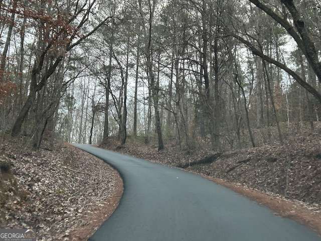 1089 Damascus Drive Ball Ground GA 30107