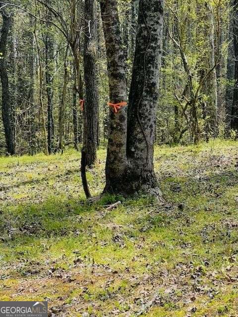 1089 Damascus Drive Ball Ground GA 30107