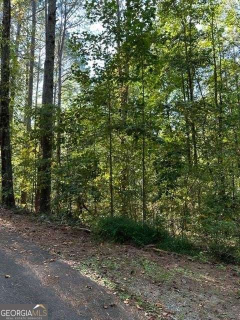 1089 Damascus Drive Ball Ground GA 30107