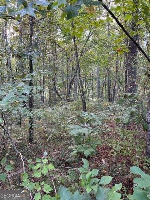 1089 Damascus Drive Ball Ground GA 30107