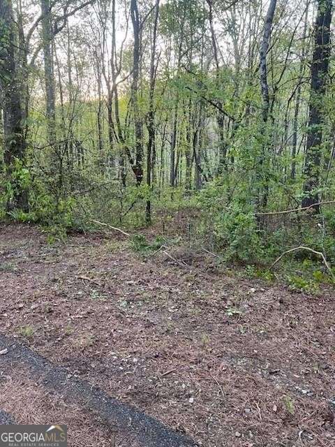 1089 Damascus Drive Ball Ground GA 30107