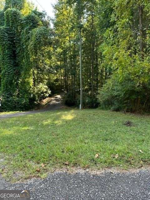 1089 Damascus Drive Ball Ground GA 30107