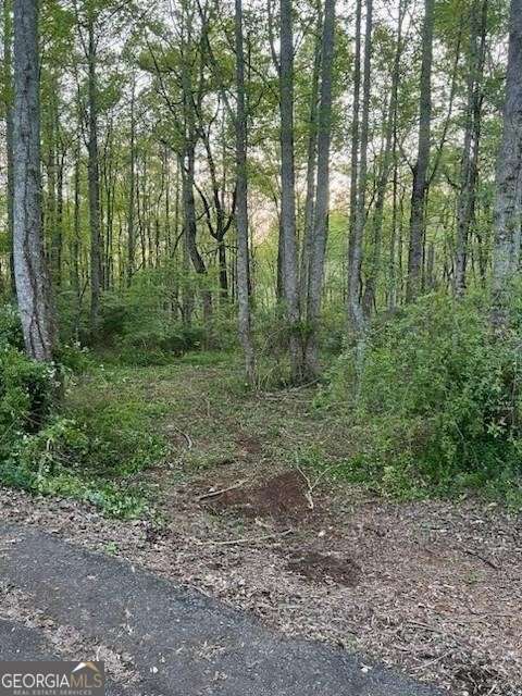 1089 Damascus Drive Ball Ground GA 30107
