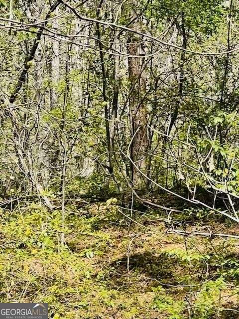 1089 Damascus Drive Ball Ground GA 30107