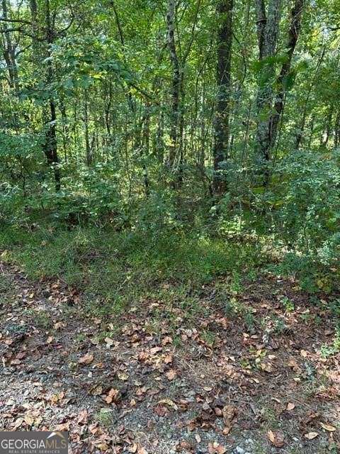 1089 Damascus Drive Ball Ground GA 30107
