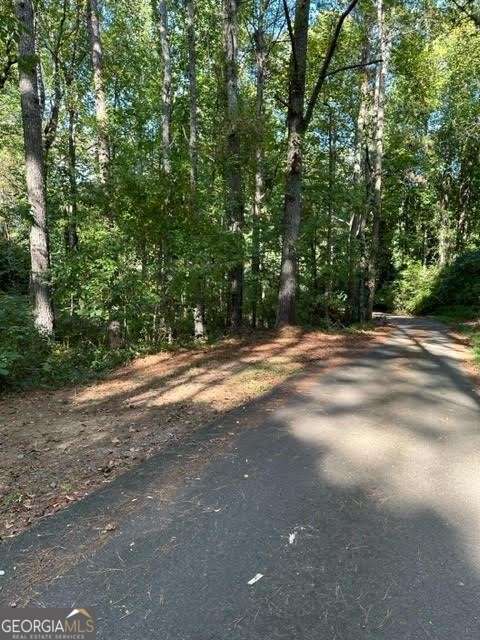 1089 Damascus Drive Ball Ground GA 30107