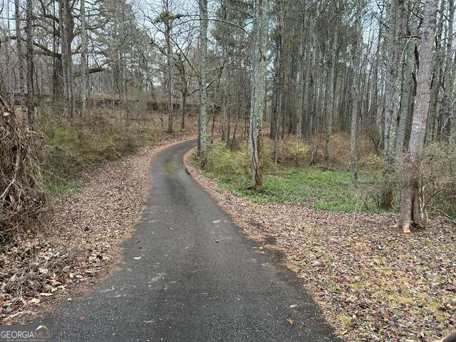 1089 Damascus Drive Ball Ground GA 30107