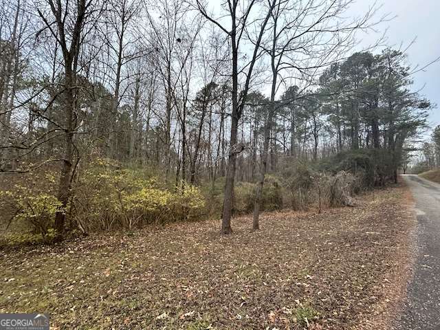 1089 Damascus Drive Ball Ground GA 30107