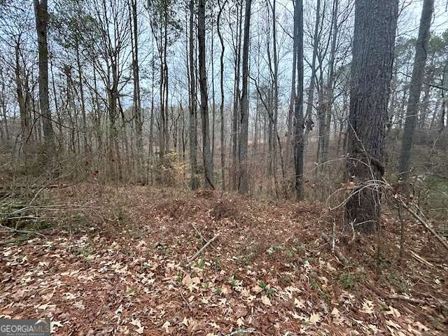 1089 Damascus Drive Ball Ground GA 30107