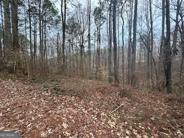 1089 Damascus Drive Ball Ground GA 30107