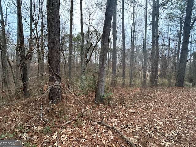 1089 Damascus Drive Ball Ground GA 30107