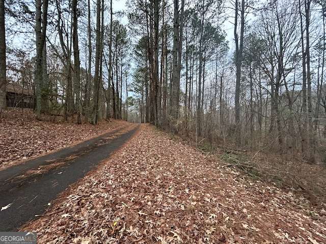 1089 Damascus Drive Ball Ground GA 30107