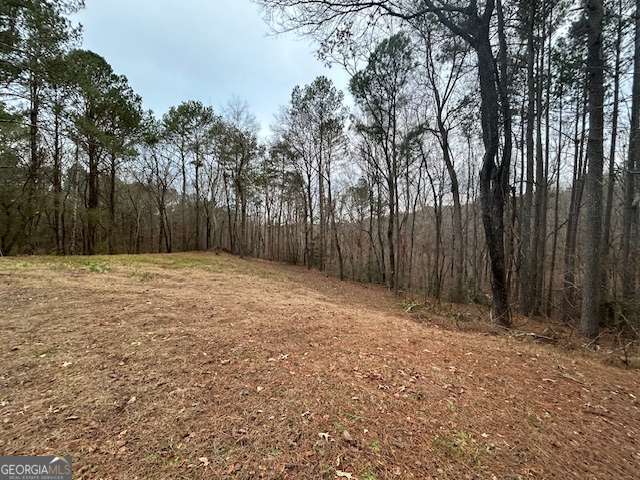 1089 Damascus Drive Ball Ground GA 30107