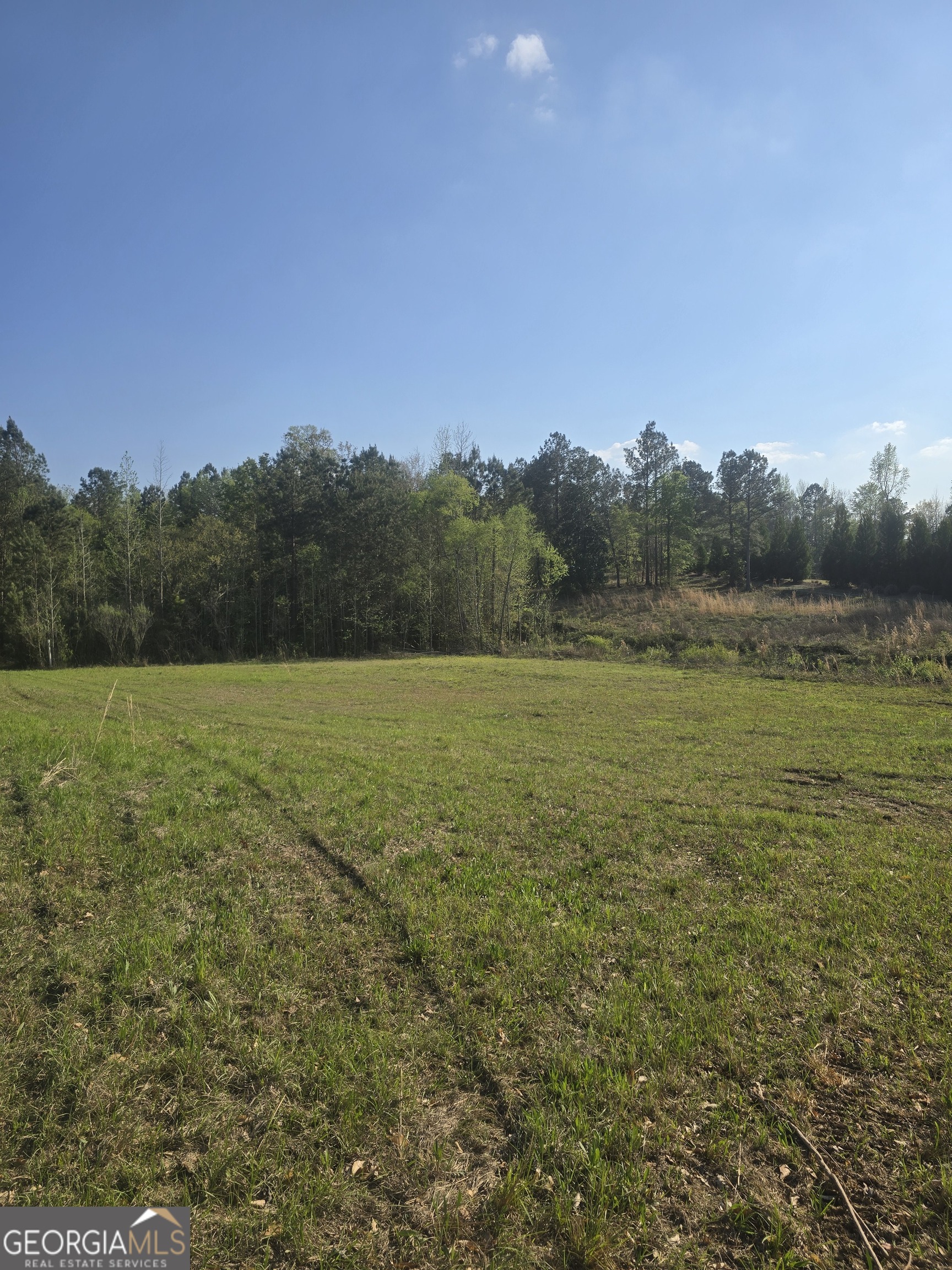 2336 Grand Harbour Drive Lizella GA 31052