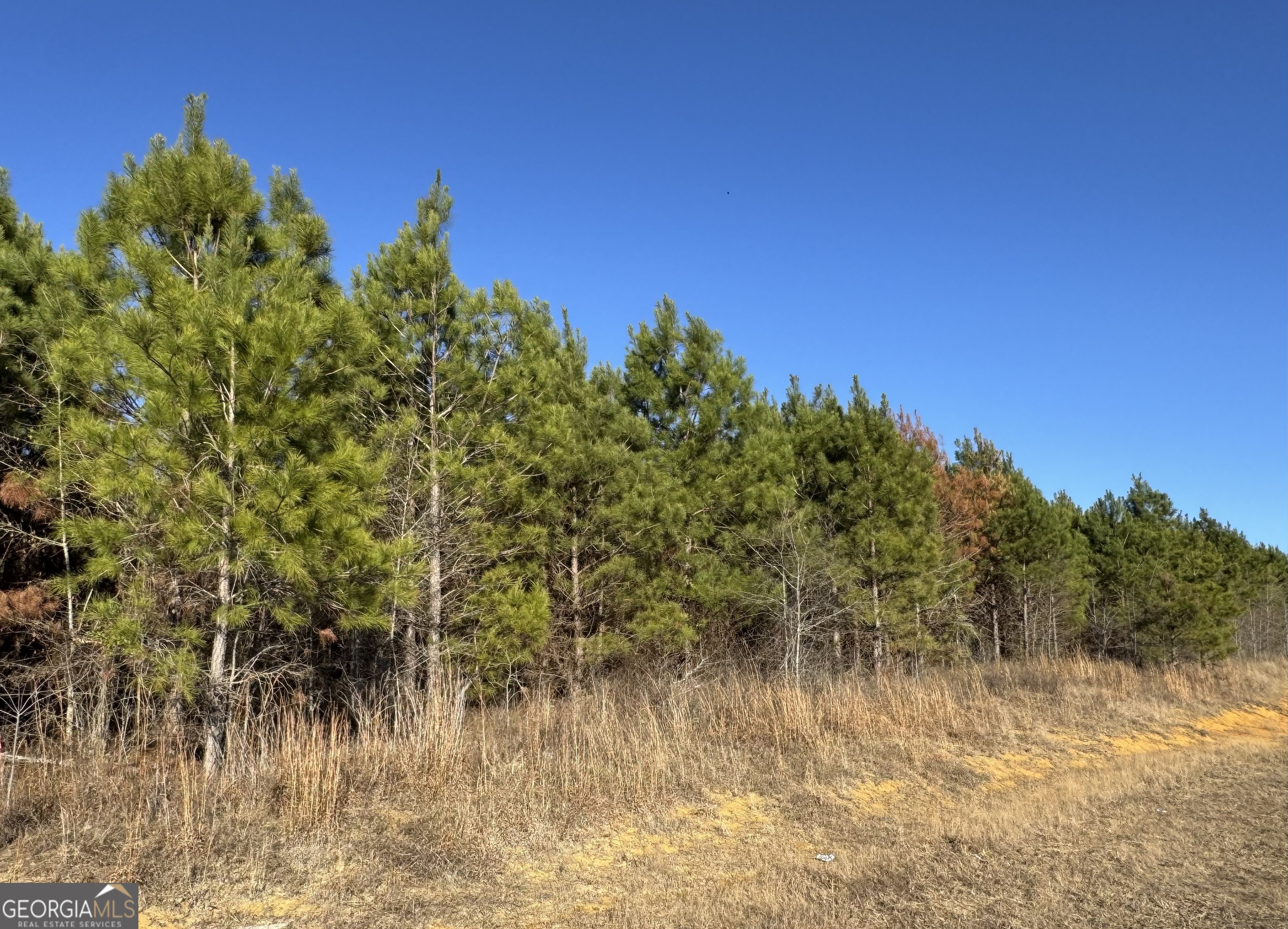 Lot 6 Whitfield Road Elko GA 31025