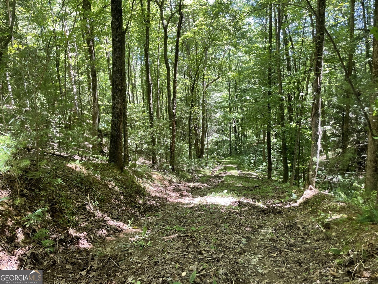 0 Sapulpa Court Ellijay GA 30540