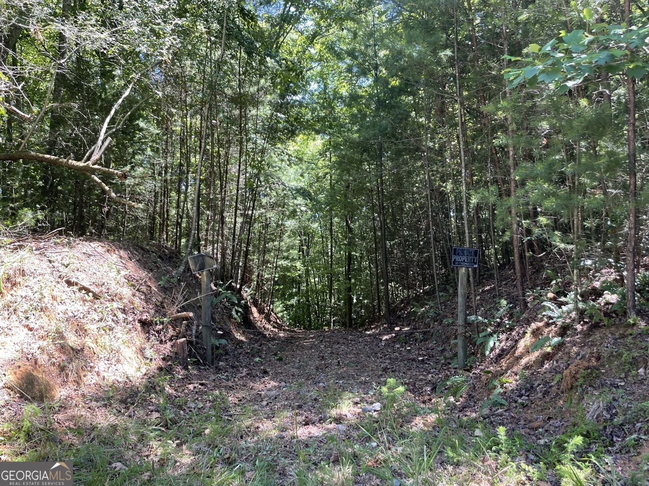 0 Sapulpa Court Ellijay GA 30540