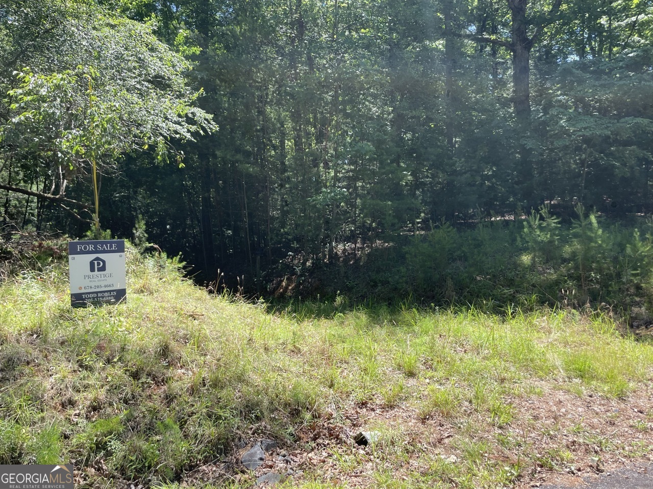 0 Sapulpa Court Ellijay GA 30540