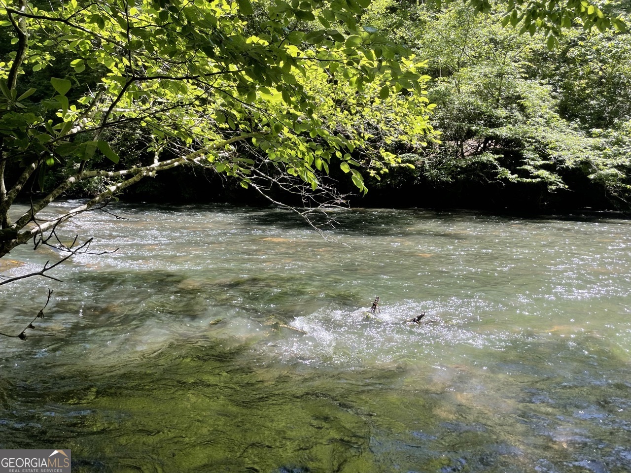 0 Sapulpa Court Ellijay GA 30540