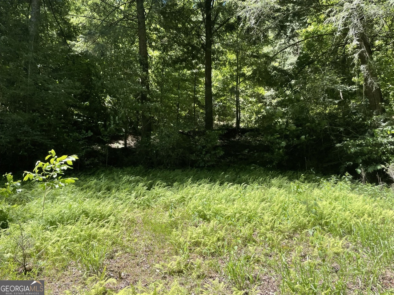 0 Sapulpa Court Ellijay GA 30540