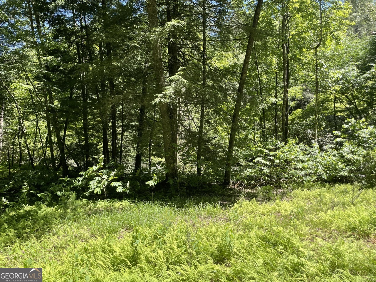 0 Sapulpa Court Ellijay GA 30540