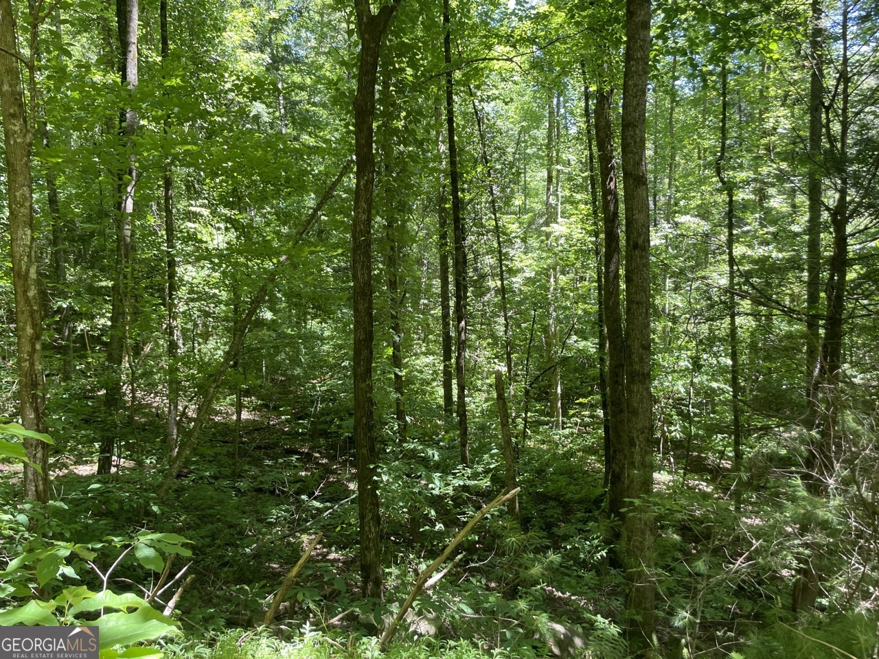 0 Sapulpa Court Ellijay GA 30540