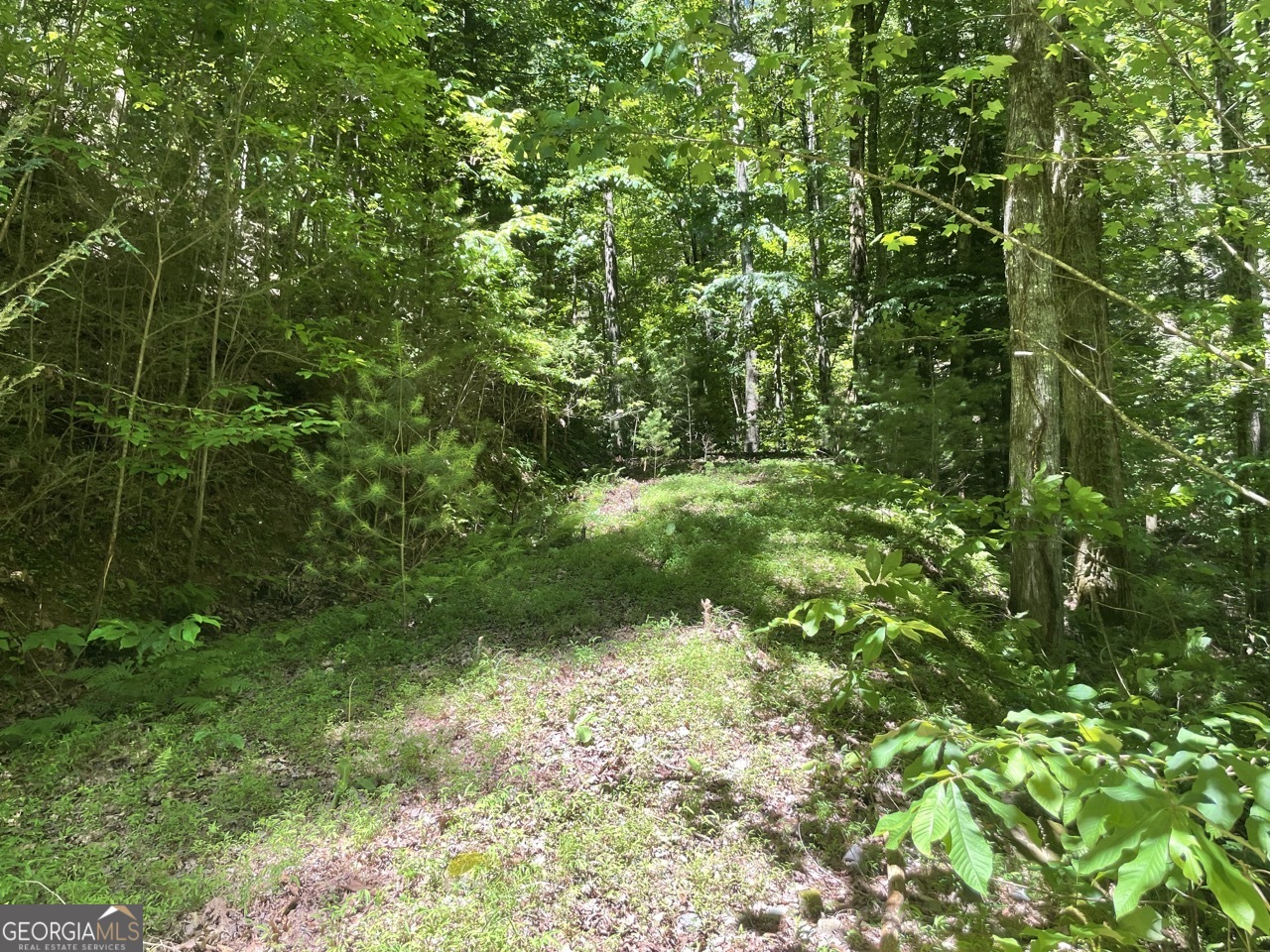 0 Sapulpa Court Ellijay GA 30540