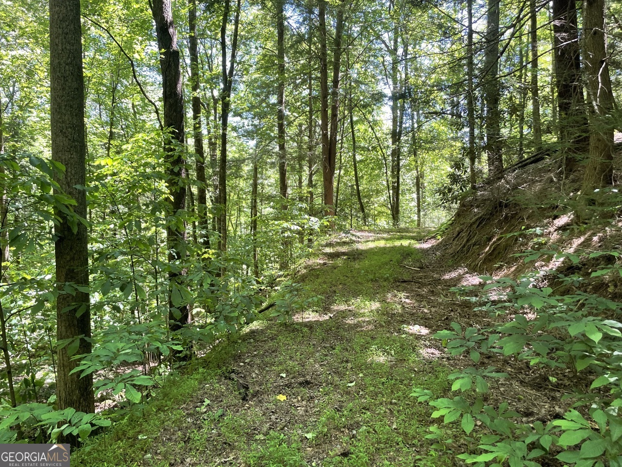 0 Sapulpa Court Ellijay GA 30540