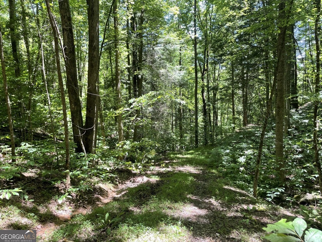 0 Sapulpa Court Ellijay GA 30540