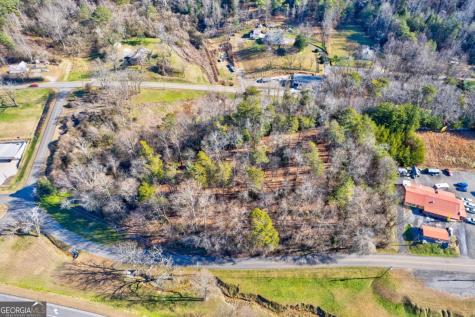 Tr-a First Avenue East Ellijay GA 30539