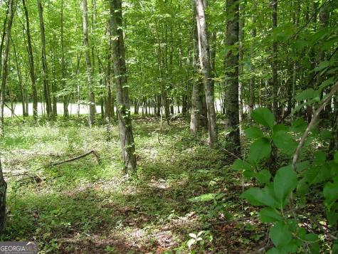 #13 Dan Knob Hayesville NC 28904