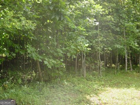 #13 Dan Knob Hayesville NC 28904