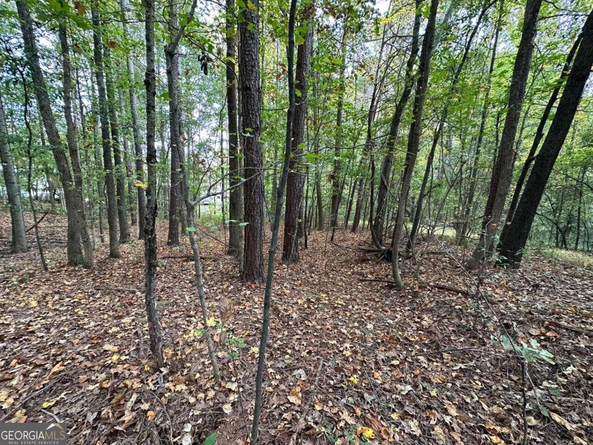 0 Villa Rica Highway/ Highway 61 Dallas GA 30157