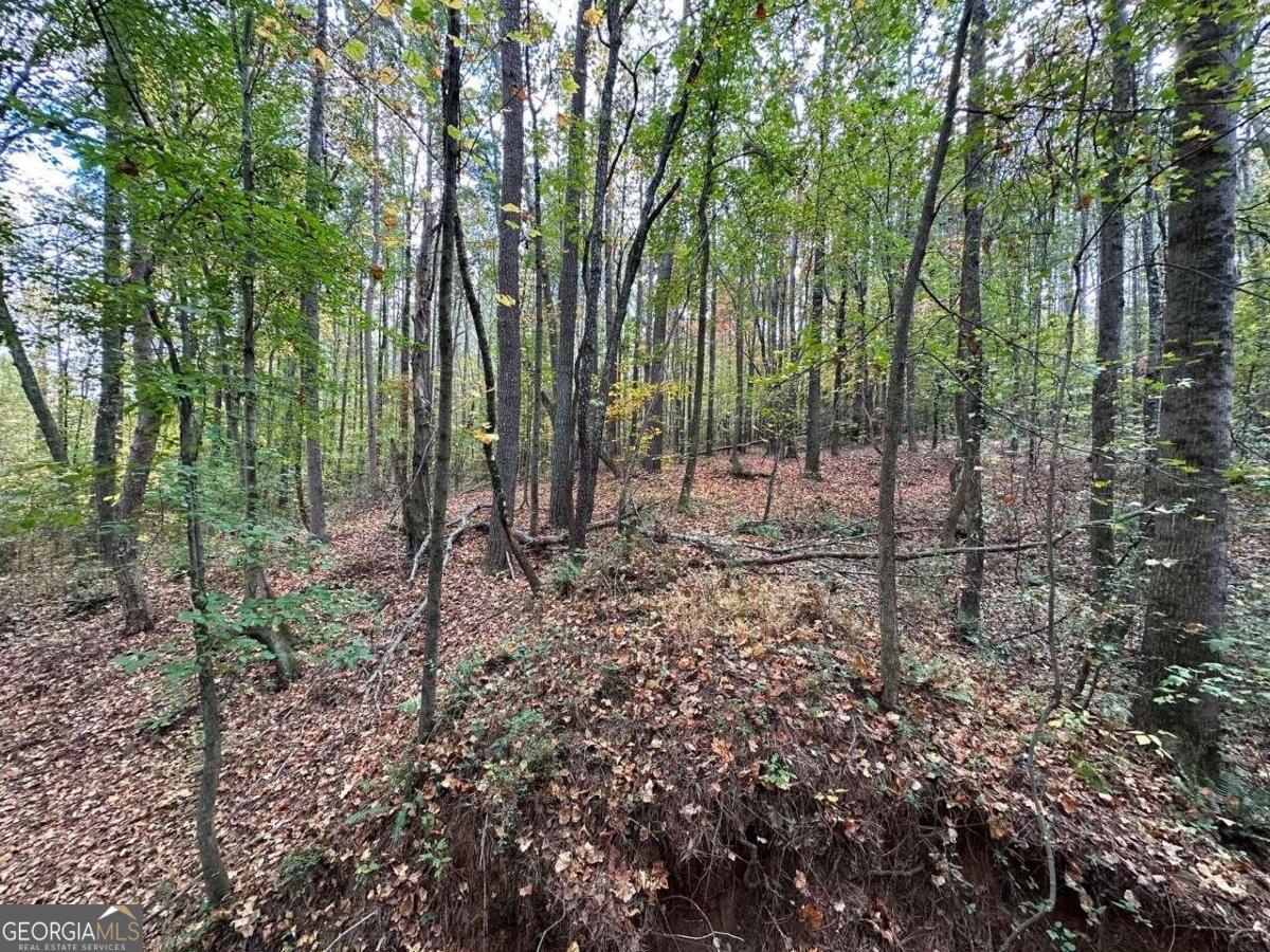 0 Villa Rica Highway/ Highway 61 Dallas GA 30157