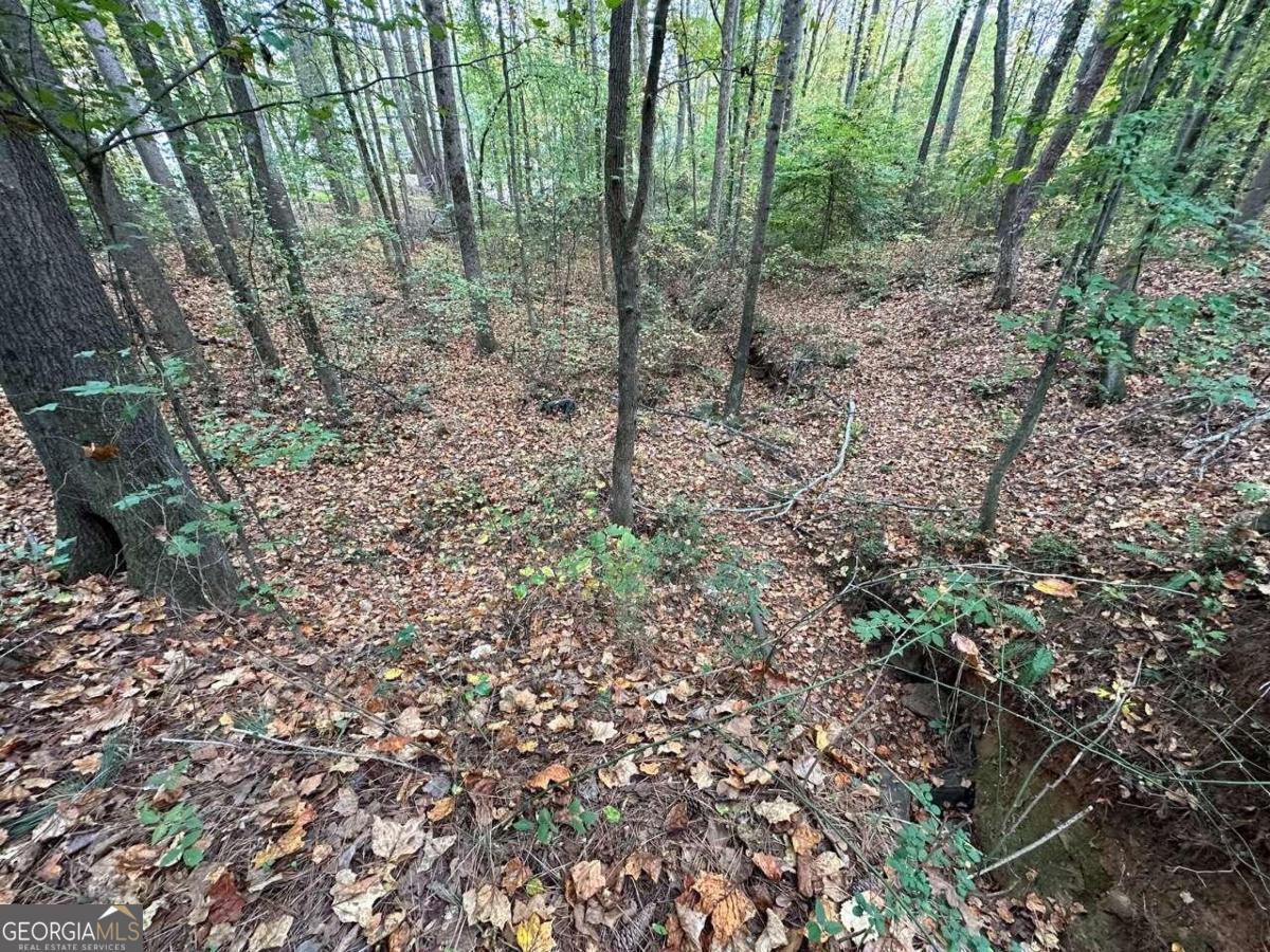 0 Villa Rica Highway/ Highway 61 Dallas GA 30157