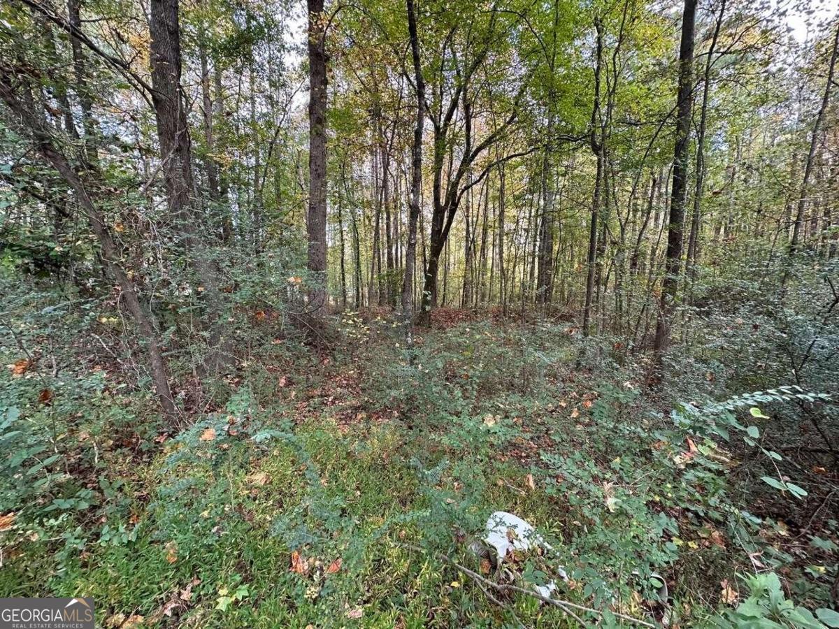 0 Villa Rica Highway/ Highway 61 Dallas GA 30157