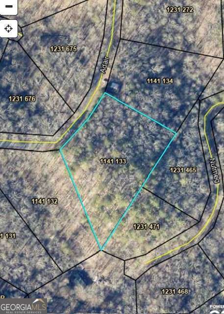 133 Adair Drive NE Ranger GA 30734